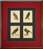 EAGLES