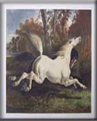 CHEVAUX  DE  SELLE  ET  D�ATTELAGE