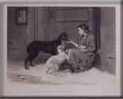 �CHARITY  SUFFERETH  LONG  AND  IS  KIND�