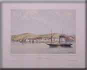 FOLIERI  ( PHOCEE )-DAVID ROBERTS