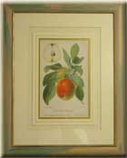 FRUIT (APLE )
